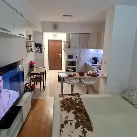 Apartment Elena 2